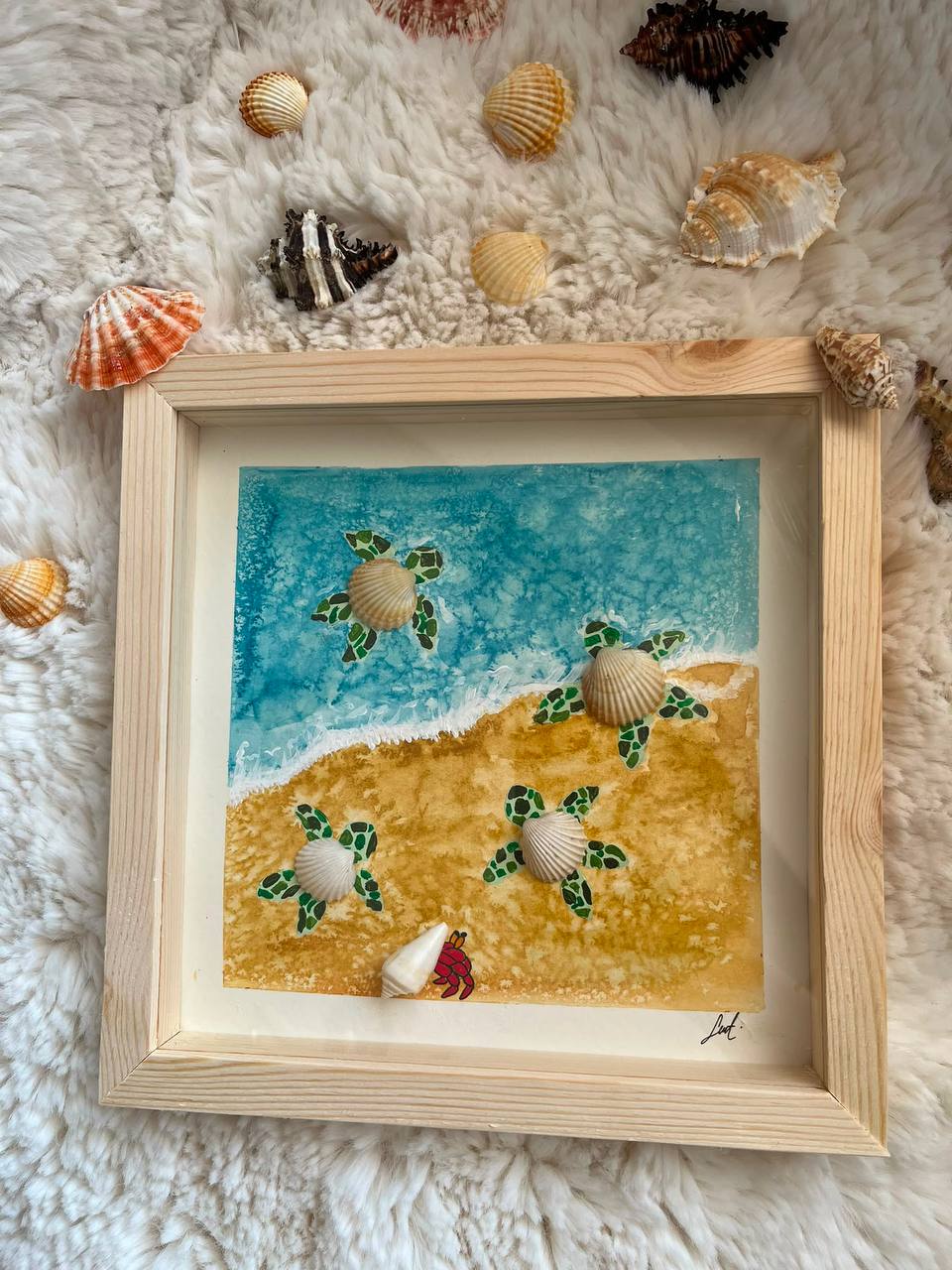 Turtle Tide, Coastal Stories